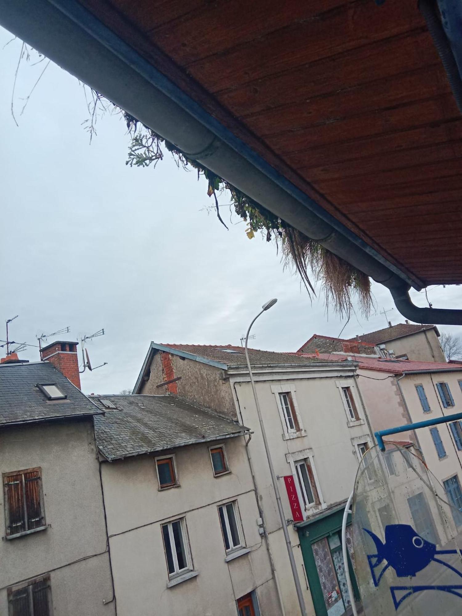 فندق La Coquille D'Or Aixe-sur-Vienne المظهر الخارجي الصورة